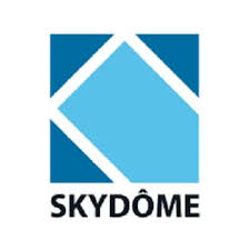 Logo Skydome